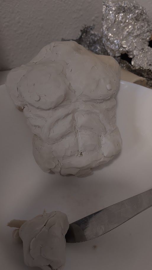 Étude du modelé et des volumes du corps humain en plastiline